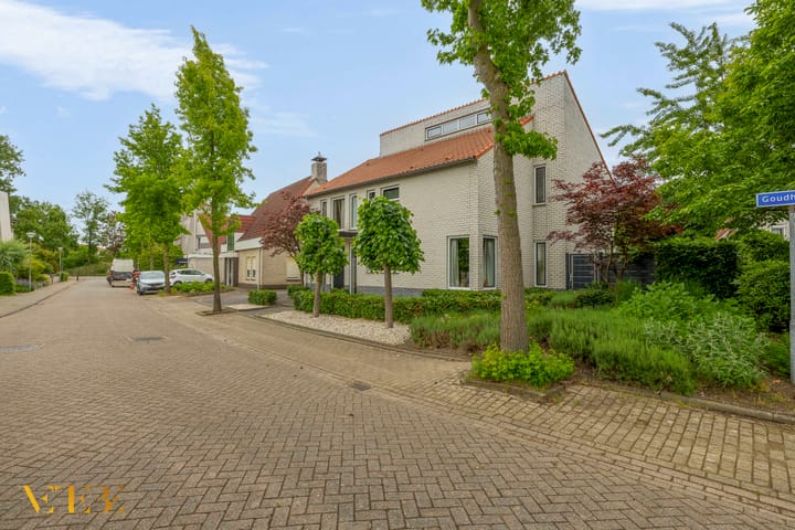 Foto 51 van Goudhaver 5