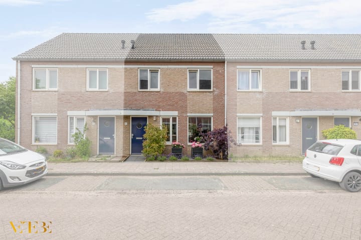 undefined main image
