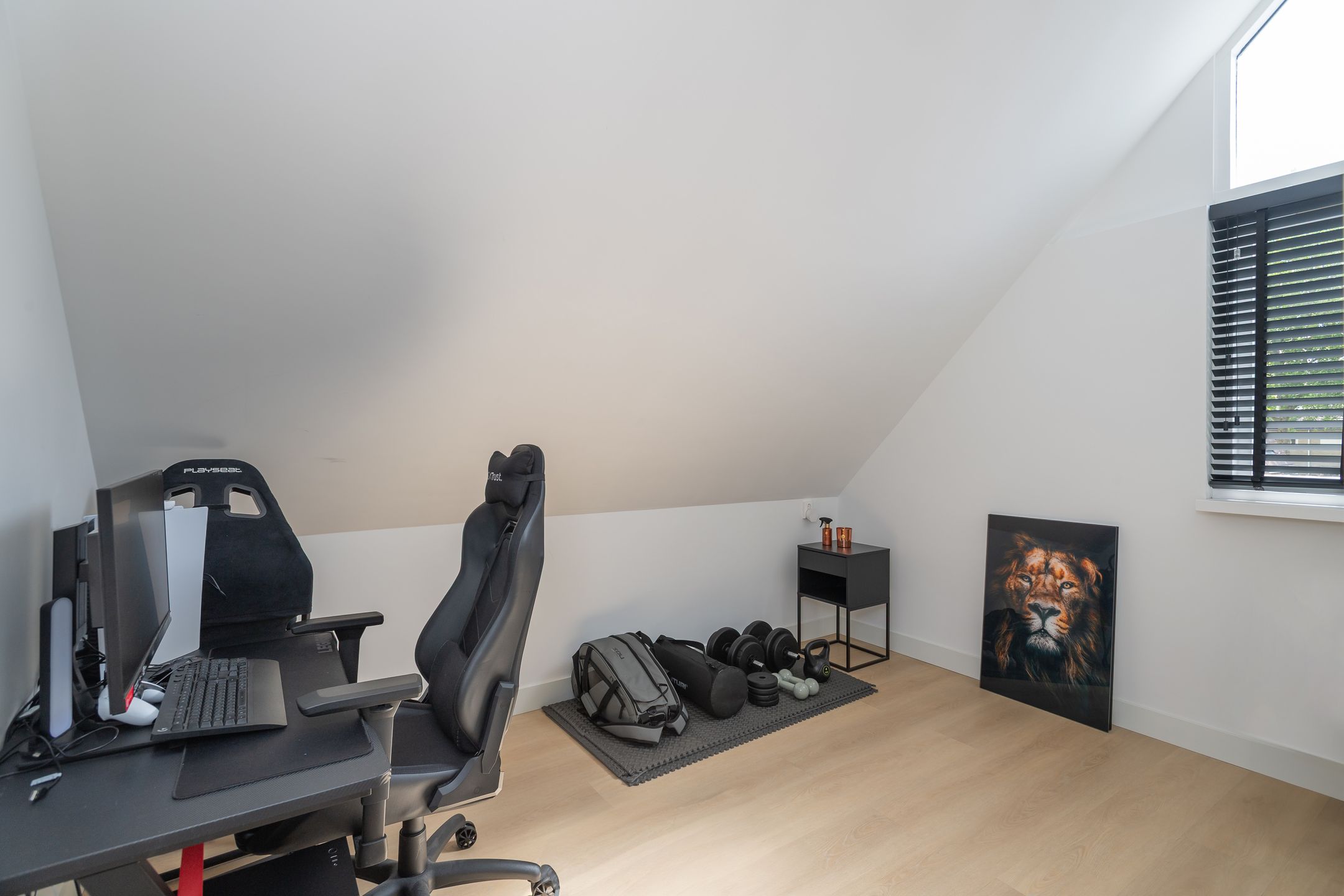 Foto 21 van Rosmolen 74