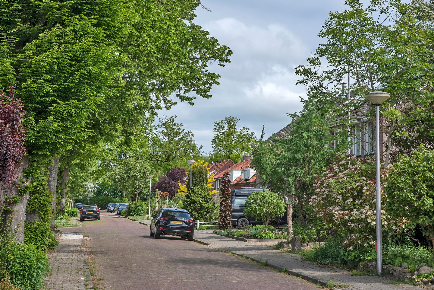 Foto 44 van Lindelaan 6