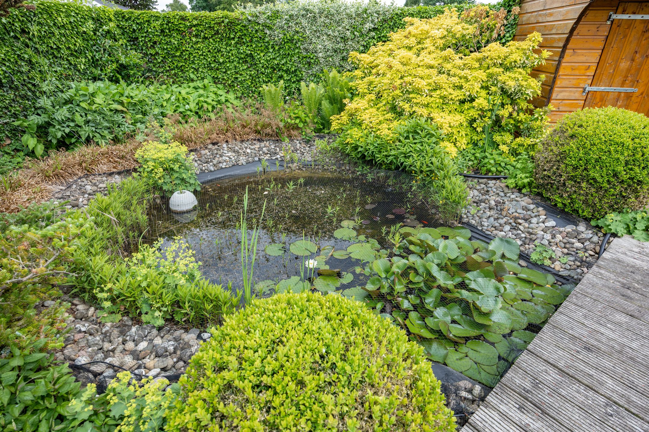 Foto 60 van Thorbeckelaan 34