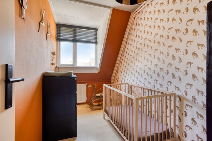 Foto 17 van Moreelsestraat 49