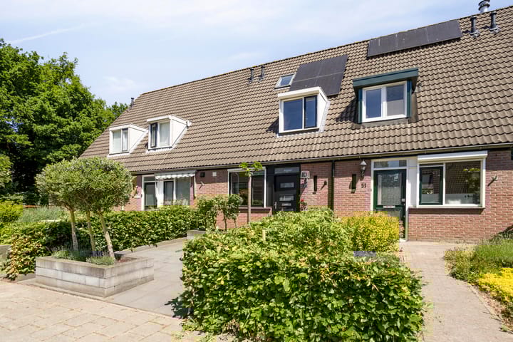 Foto 31 van Moreelsestraat 49