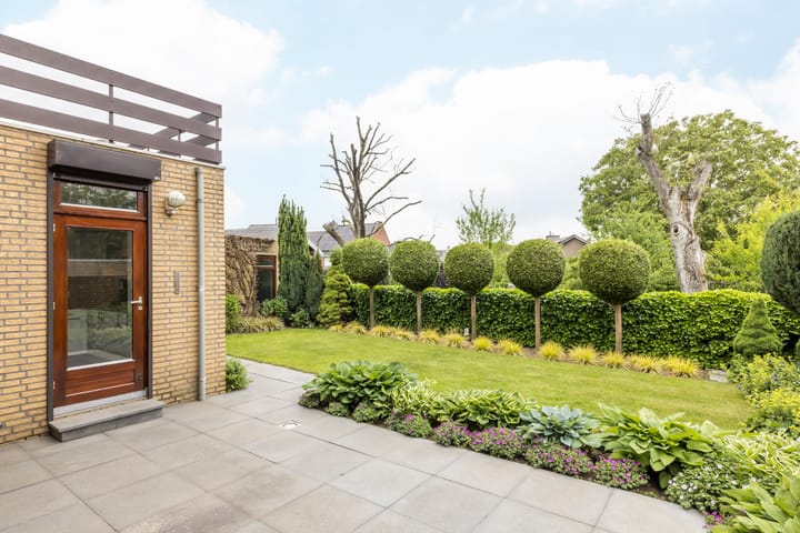 Foto 25 van Puntelstraat 12