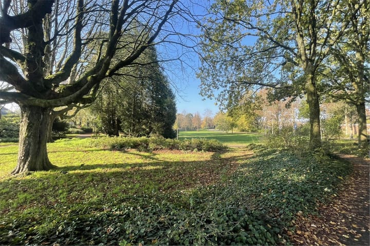 Foto 42 van Veldekestraat 25