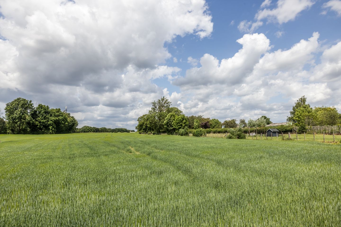 Foto 34 van Ransdalerstraat 113