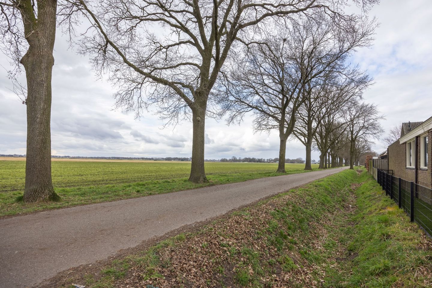 Foto 34 van Valeriaan 12