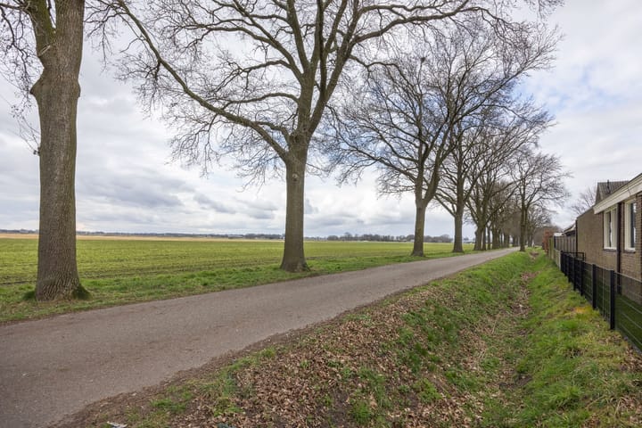 Foto 34 van Valeriaan 12