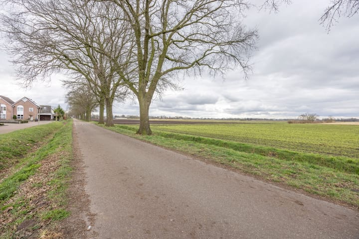 Foto 35 van Valeriaan 12