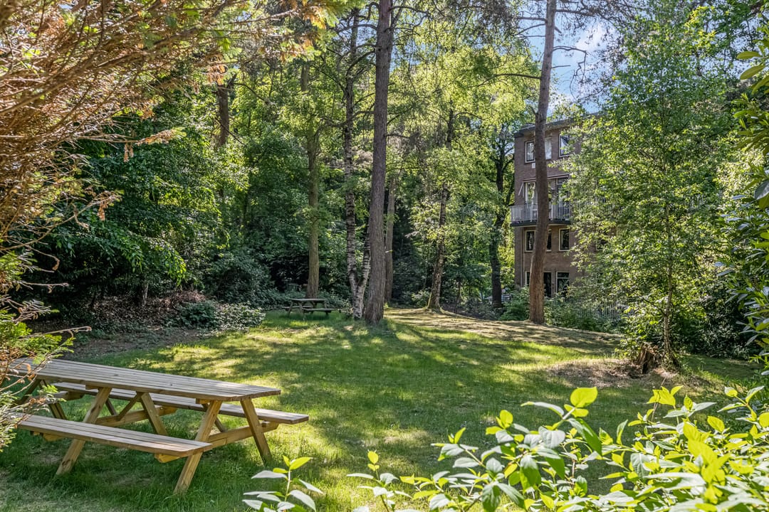 Foto 41 van van Heutszlaan 146-1