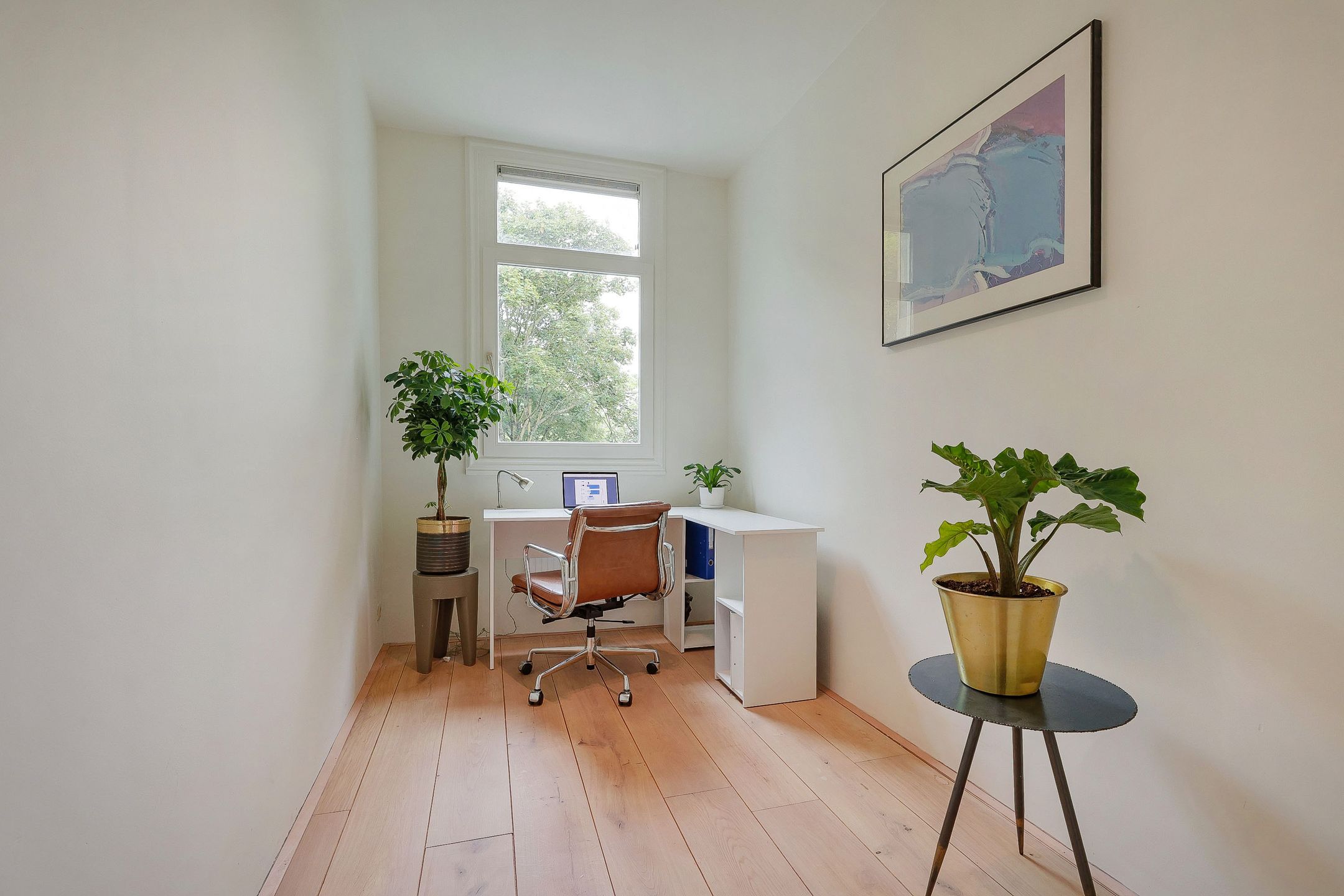 Foto 15 van Van Hallstraat 33-3