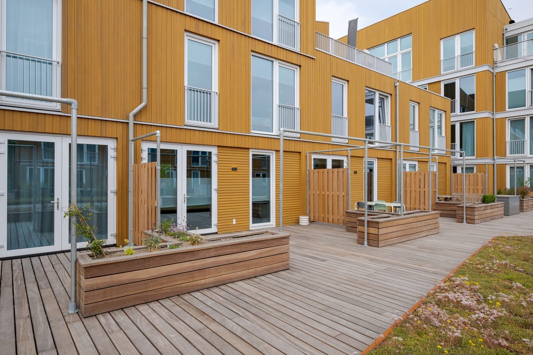 Photo 41 of Nelson Mandelapad 12