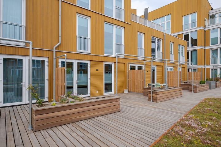 Foto 41 van Nelson Mandelapad 12