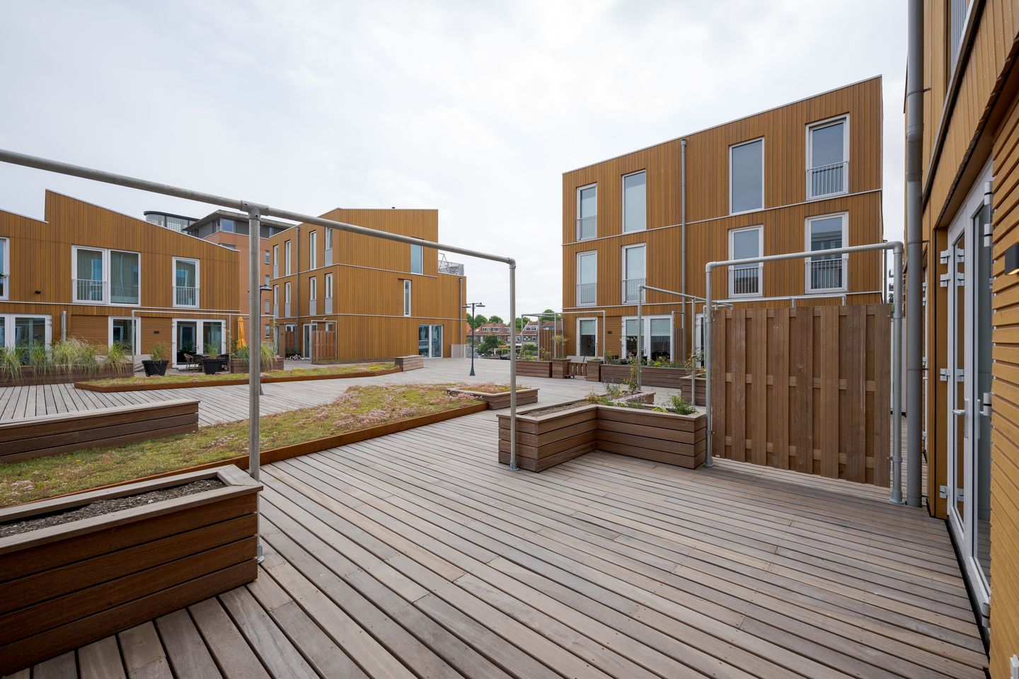 Photo 44 of Nelson Mandelapad 12