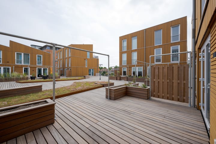 Foto 44 van Nelson Mandelapad 12