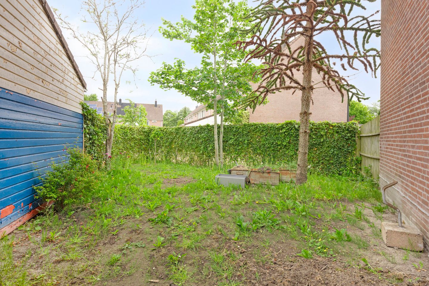 Foto 34 van Gouwe 175