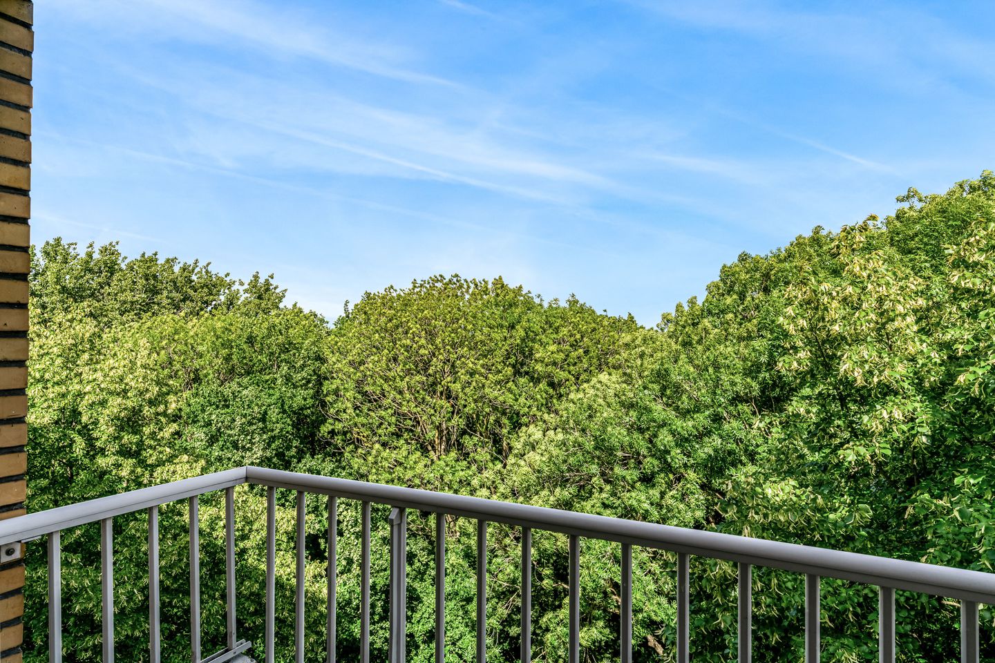 Photo 4 of Karel Doormanlaan 223