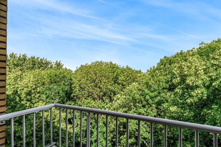 Foto 4 van Karel Doormanlaan 223