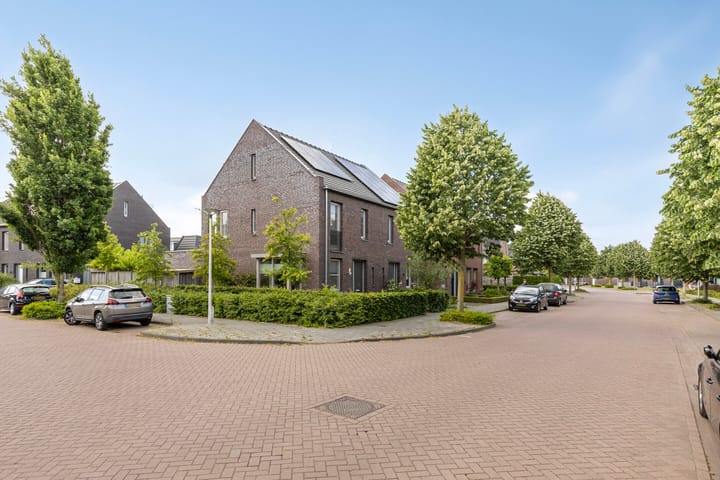 Foto 31 van Atalanta 42