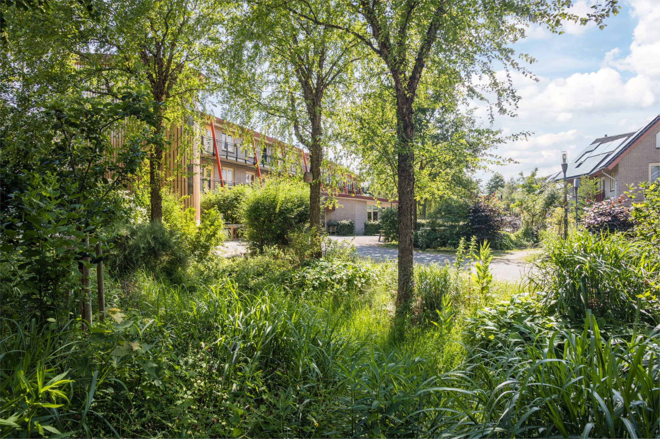 Foto 39 van Loverendale 32