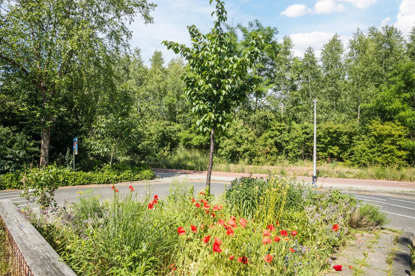 Foto 40 van Loverendale 32