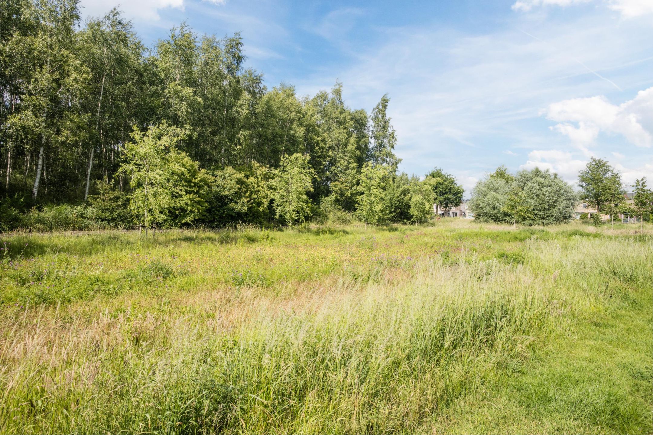 Foto 42 van Loverendale 32