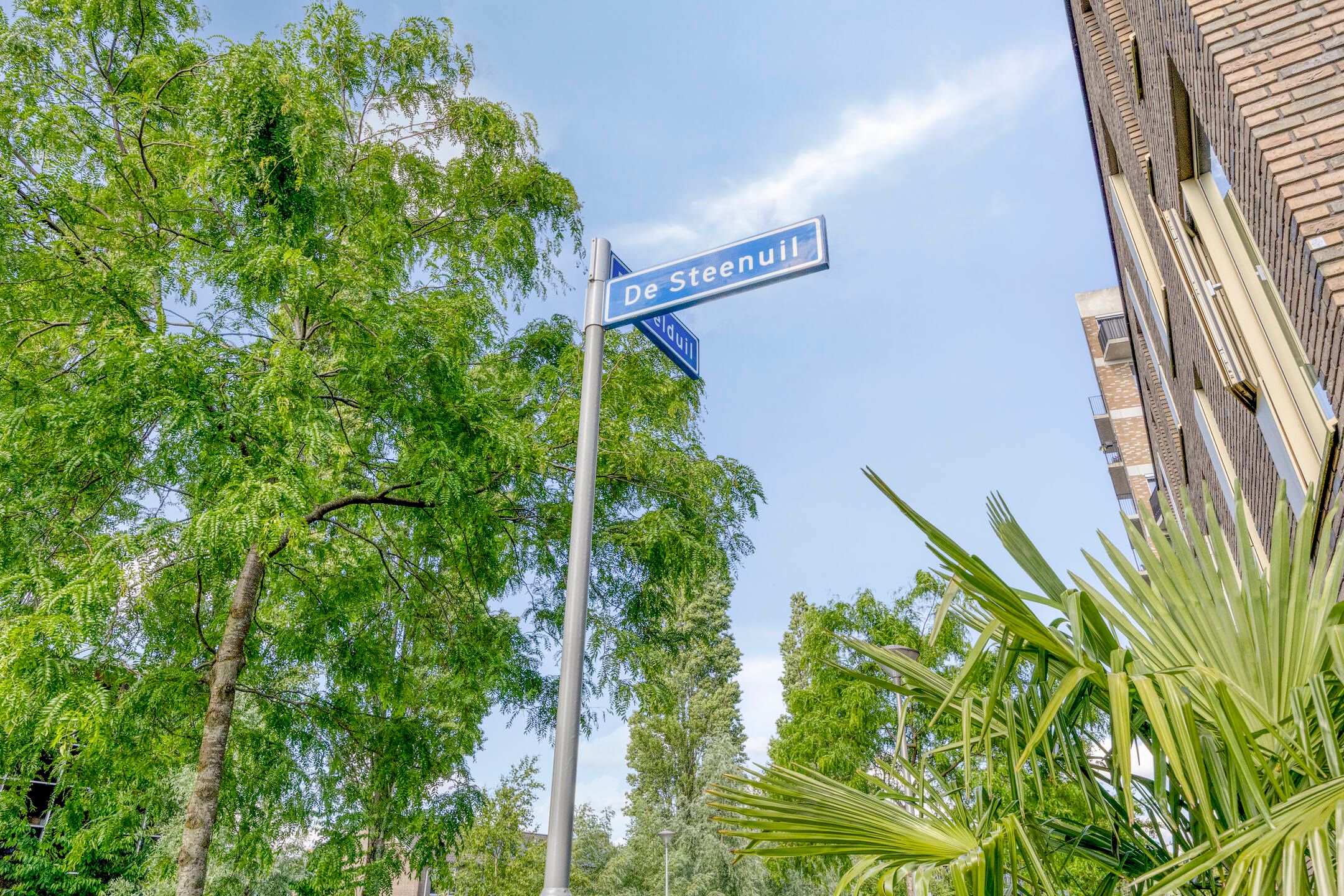 Photo 6 of De Steenuil 19