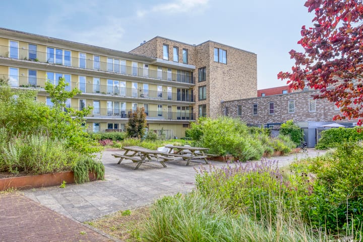 Foto 8 van De Steenuil 19