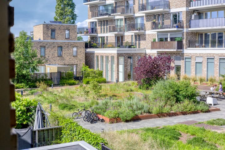 Foto 22 van De Steenuil 19