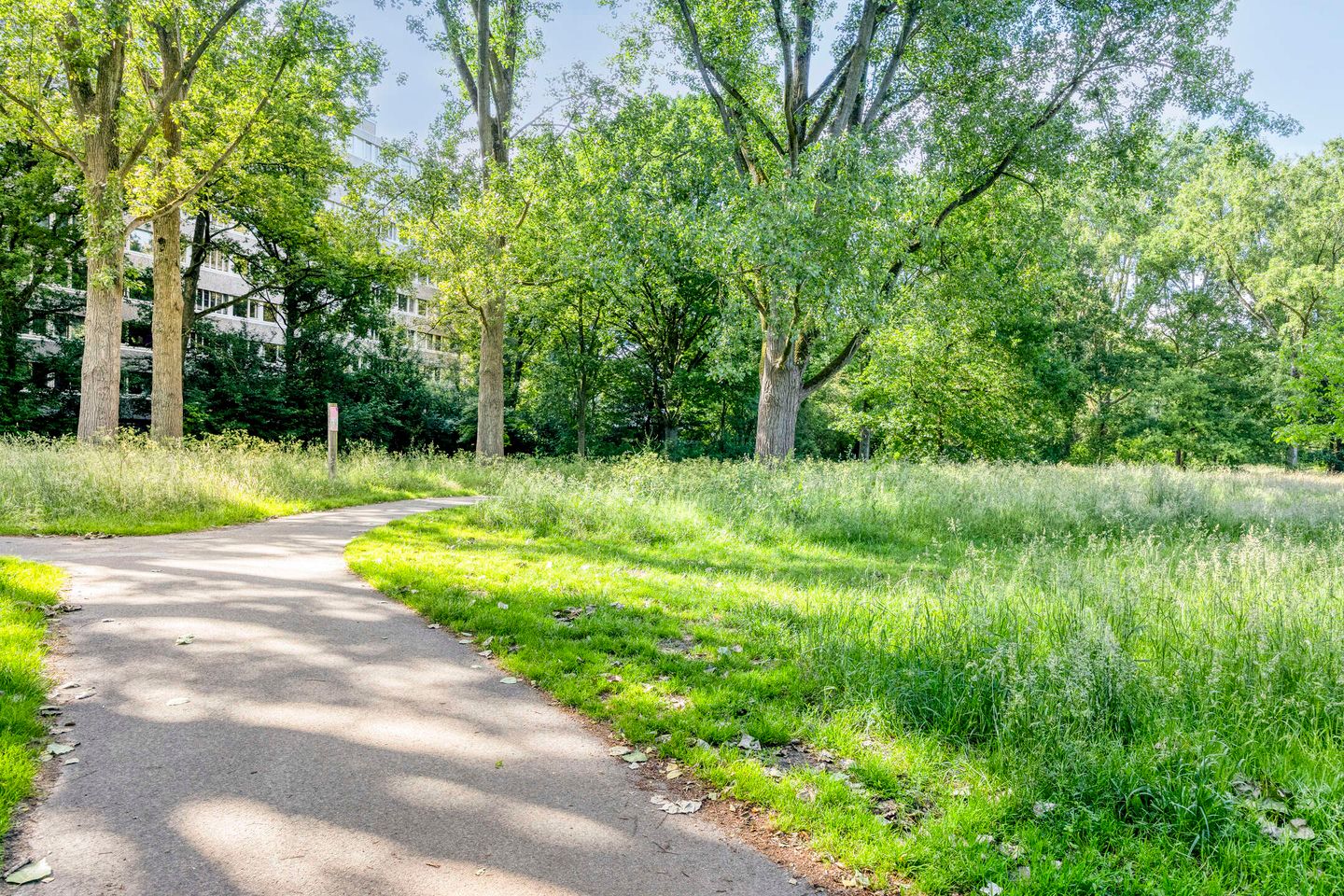 Photo 29 of De Steenuil 19