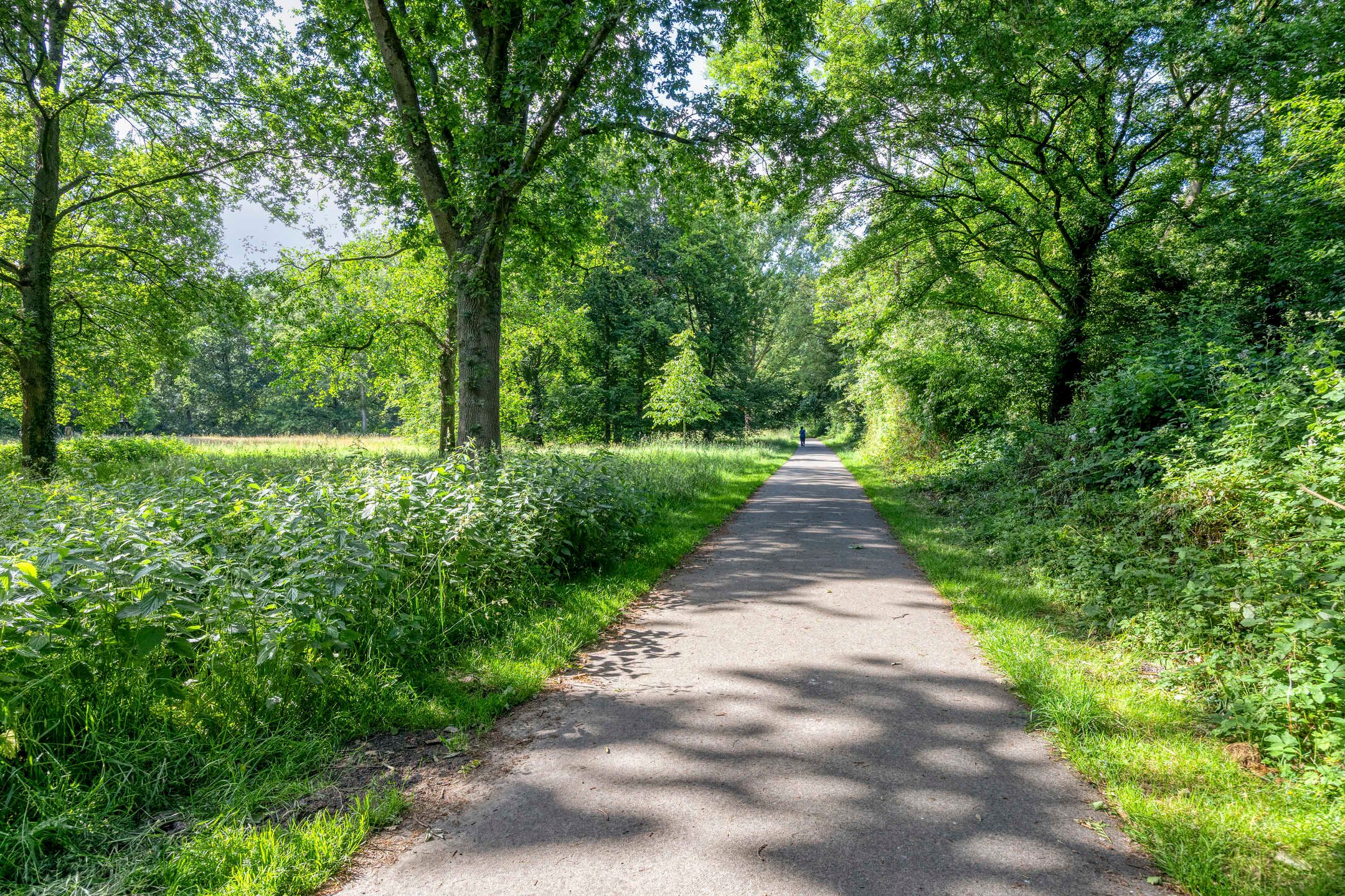 Photo 30 of De Steenuil 19