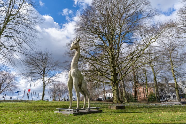 Foto 41 van Cavaleriestraat 8