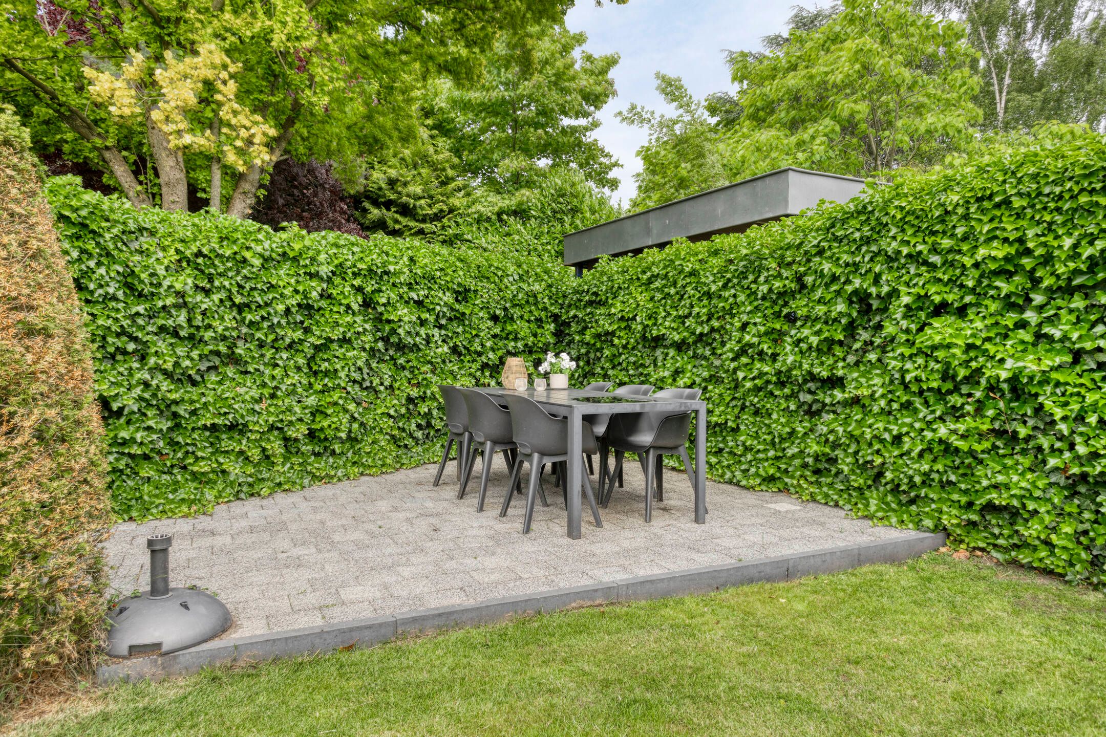 Photo 60 of Matterhorn 24