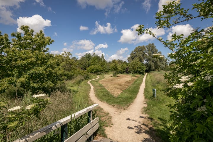 Foto 25 van Nijenburg 29