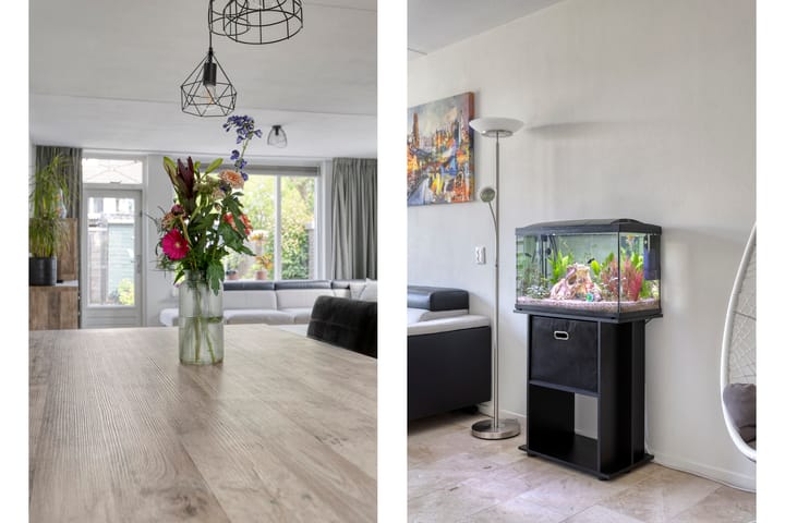 Foto 6 van Van Reedestraat 18