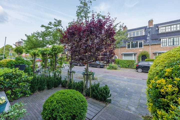 Foto 41 van Jan van den Bergstraat 51