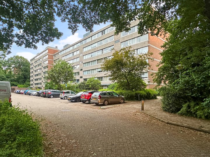 Beethovenlaan 241