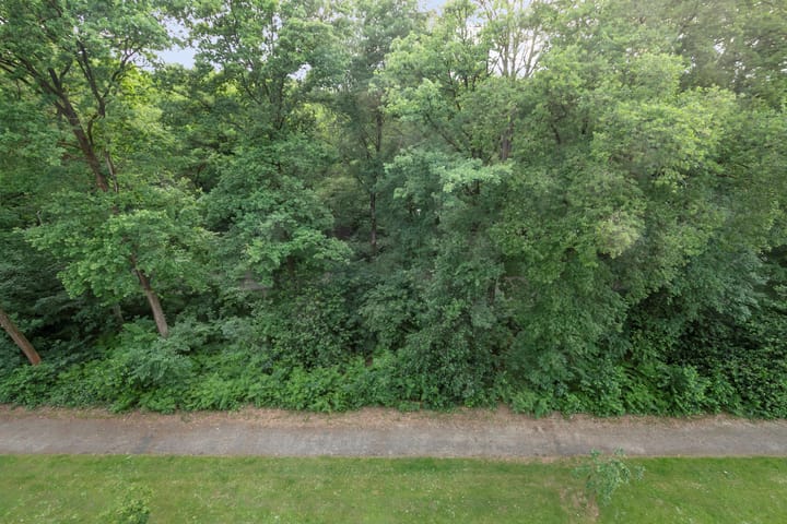 Foto 16 van Beethovenlaan 241