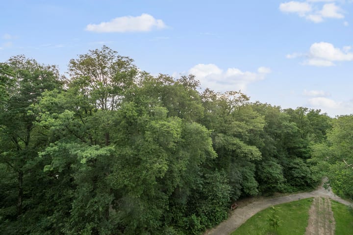 Foto 17 van Beethovenlaan 241