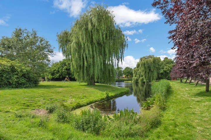 Foto 43 van Singravenstraat 12