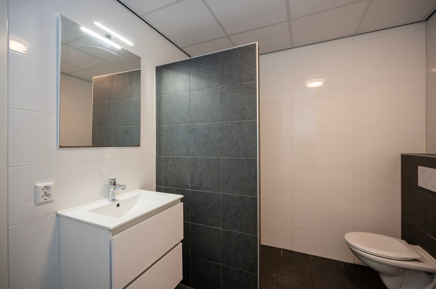 Foto 14 van Brongouw 60-D