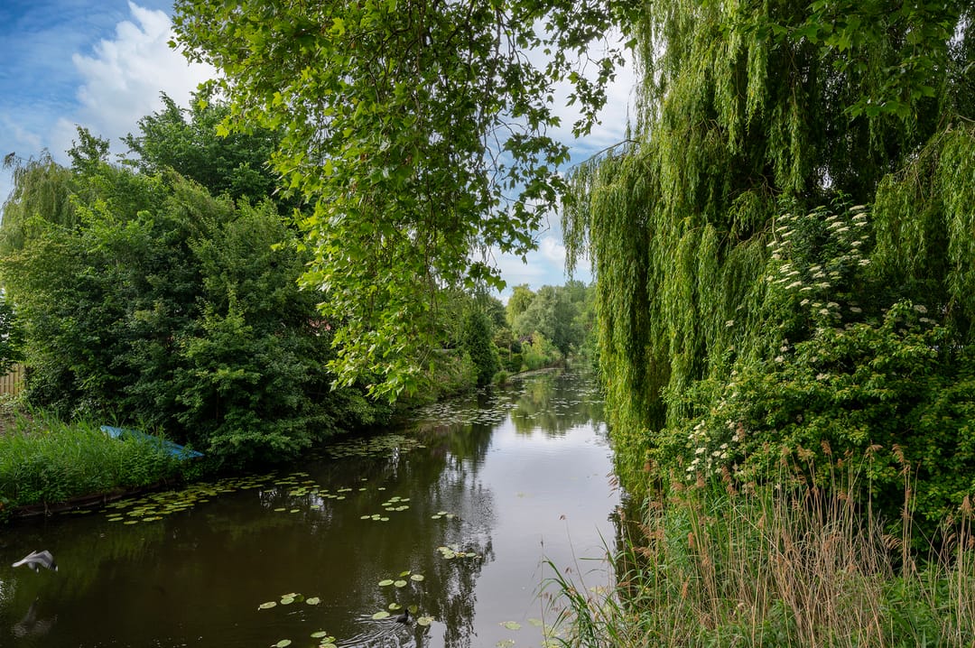 Foto 16 van Brongouw 60-D