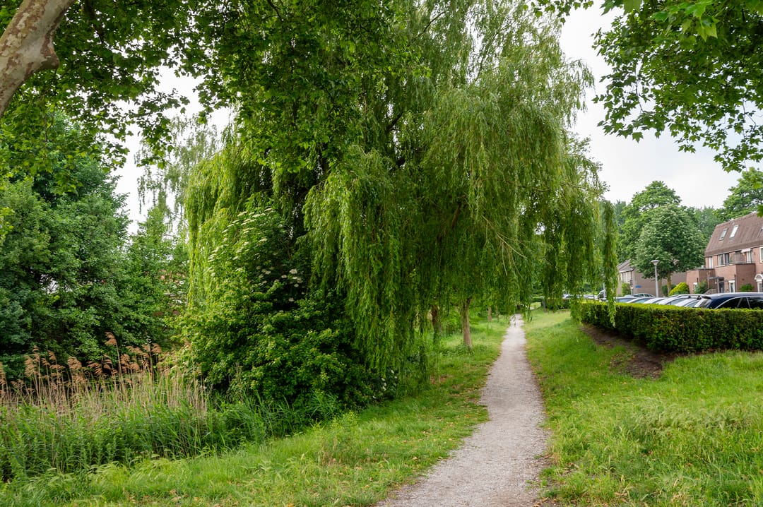 Foto 17 van Brongouw 60-D