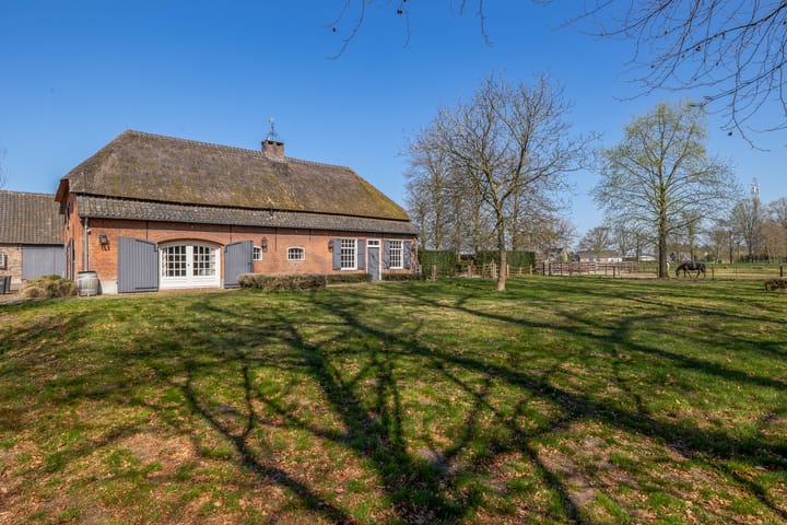 Foto 3 van Theereheide 6