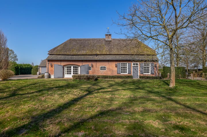 Foto 5 van Theereheide 6