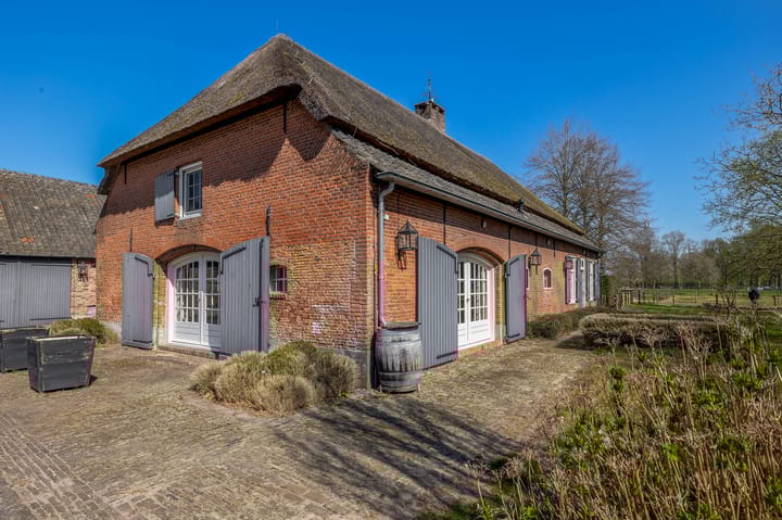 Foto 6 van Theereheide 6