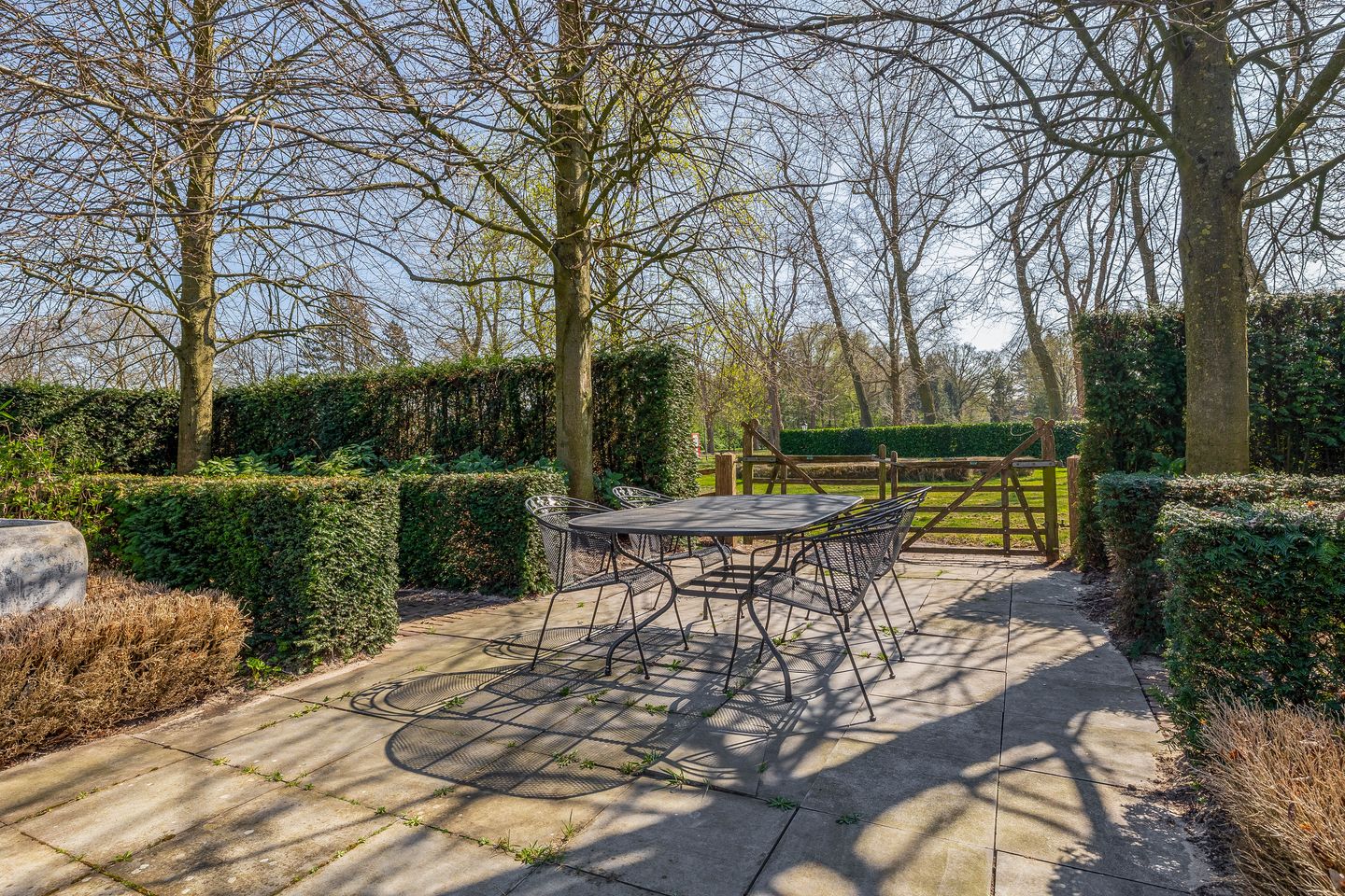 Foto 29 van Theereheide 6