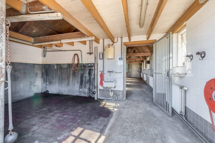 Foto 34 van Theereheide 6