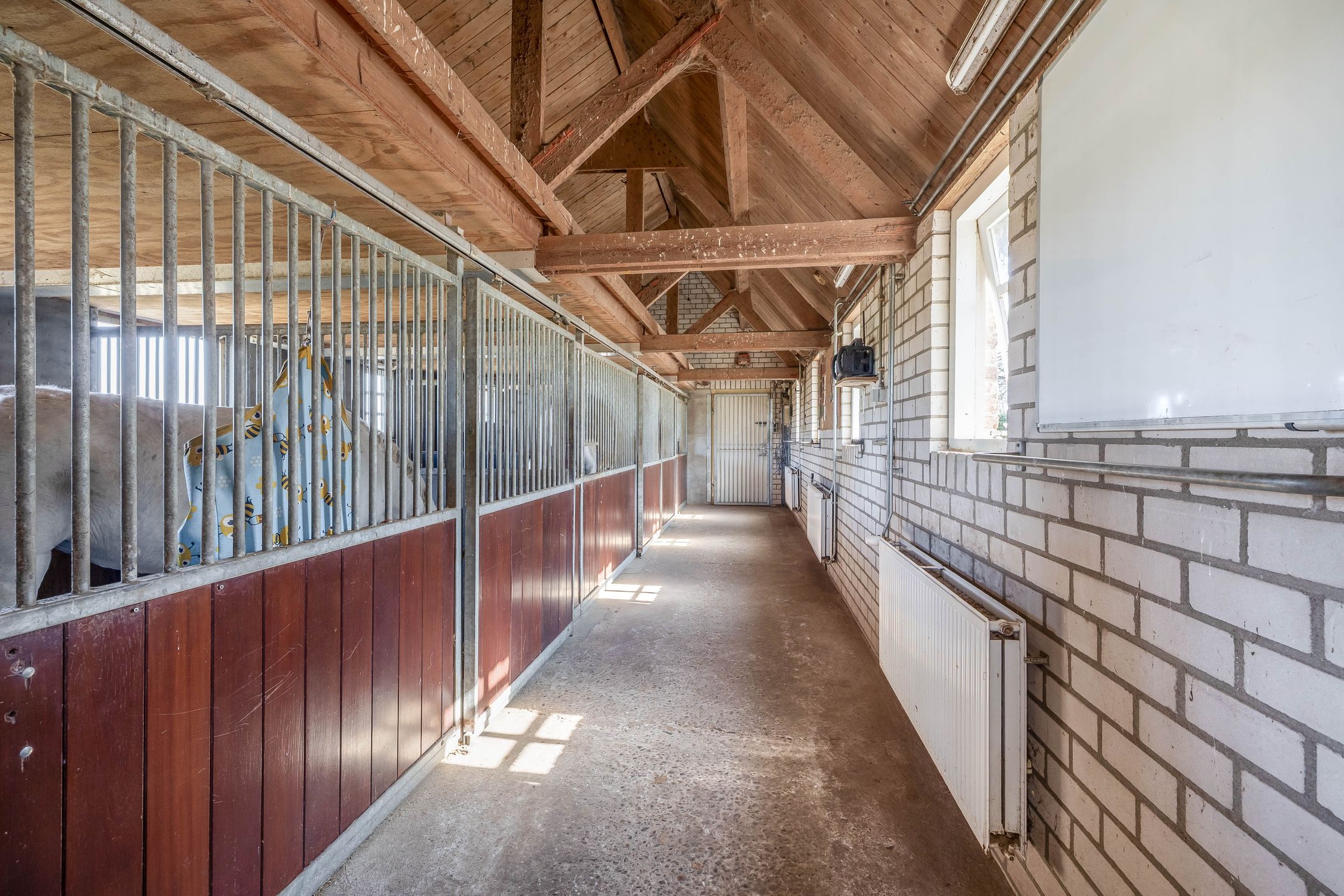 Foto 36 van Theereheide 6