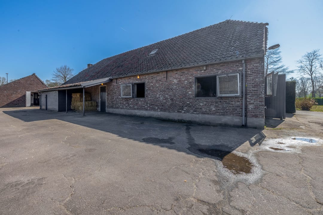 Foto 37 van Theereheide 6